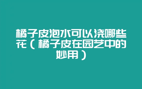 橘子皮泡水可以浇哪些花（橘子皮在园艺中的妙用）-会东网