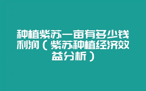 种植紫苏一亩有多少钱利润(紫苏种植经济效益分析)-会东网