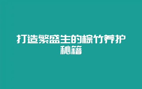 打造繁盛生的棕竹养护秘籍-会东网