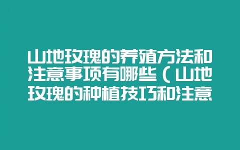 山地玫瑰的养殖方法和注意事项有哪些（山地玫瑰的种植技巧和注意-会东网