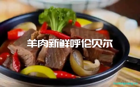 羊肉新鲜呼伦贝尔-会东网