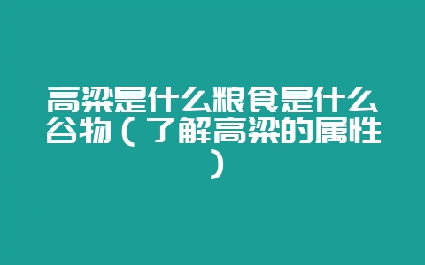 高粱是什么粮食是什么谷物(了解高粱的属性)-会东网