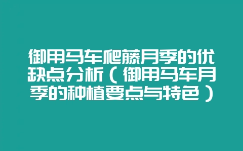 御用马车爬藤月季的优缺点分析（御用马车月季的种植要点与特色）-会东网