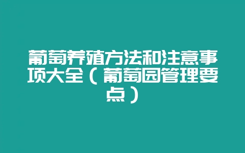 葡萄养殖方法和注意事项大全（葡萄园管理要点）-会东网