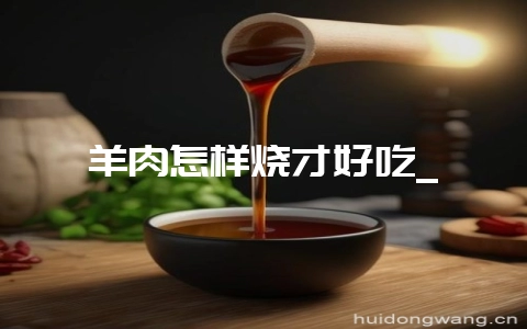 羊肉怎样烧才好吃_-会东网