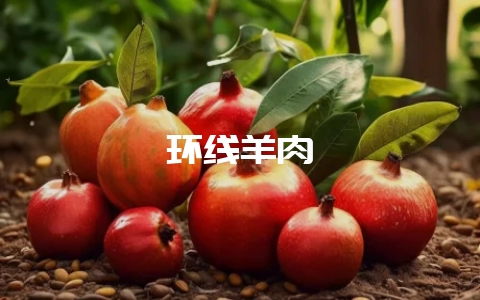 环线羊肉-会东网