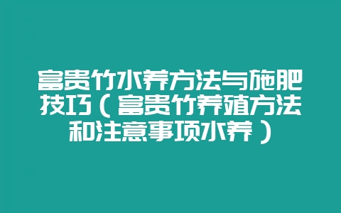 富贵竹水养方法与施肥技巧(富贵竹养殖方法和注意事项水养)-会东网