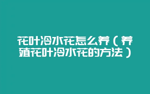 花叶冷水花怎么养（养殖花叶冷水花的方法）-会东网