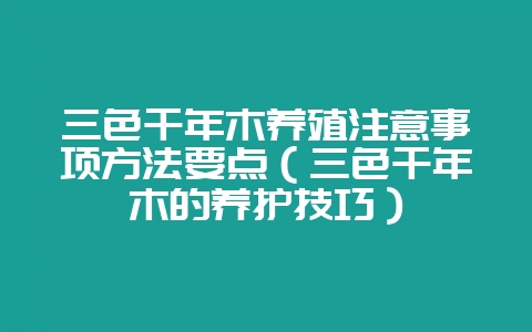 三色千年木养殖注意事项方法要点(三色千年木的养护技巧)-会东网