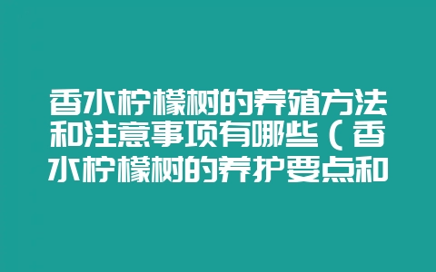 香水柠檬树的养殖方法和注意事项有哪些（香水柠檬树的养护要点和-会东网