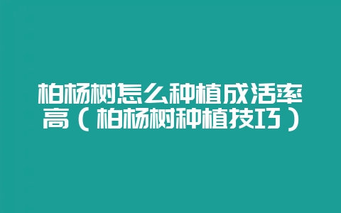 柏杨树怎么种植成活率高（柏杨树种植技巧）-会东网