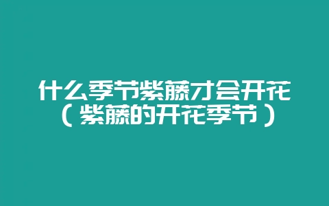 什么季节紫藤才会开花（紫藤的开花季节）-会东网
