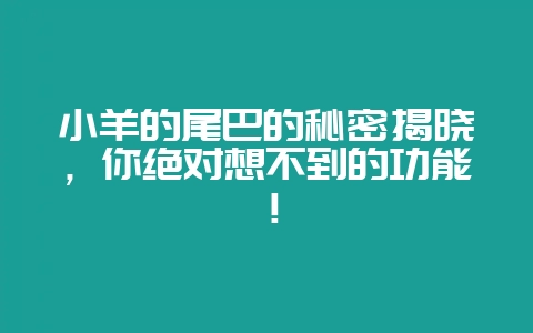 小羊的尾巴的秘密揭晓，你绝对想不到的功能！-会东网