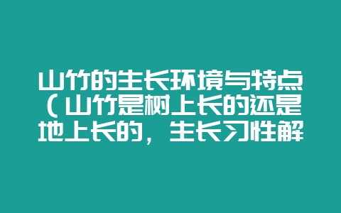 山竹的生长环境与特点（山竹是树上长的还是地上长的，生长习性解-会东网