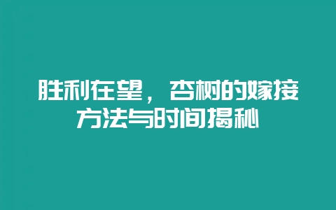 胜利在望，杏树的嫁接方法与时间揭秘-会东网