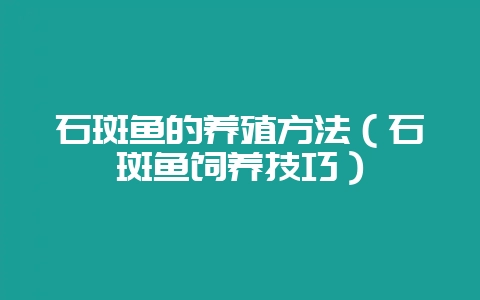 石斑鱼的养殖方法(石斑鱼饲养技巧)-会东网