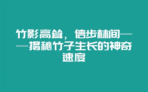竹影高耸，信步林间——揭秘竹子生长的神奇速度-会东网