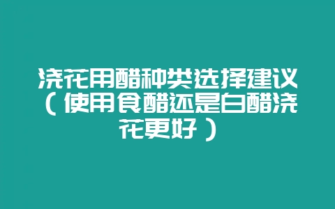 浇花用醋种类选择建议（使用食醋还是白醋浇花更好）-会东网