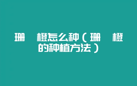珊瑚橙怎么种（珊瑚橙的种植方法）-会东网