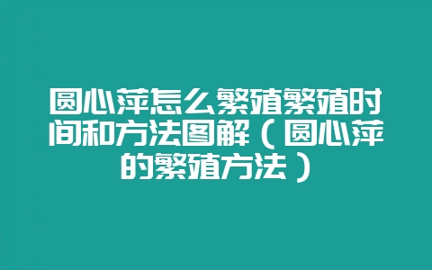 圆心萍怎么繁殖繁殖时间和方法图解（圆心萍的繁殖方法）-会东网