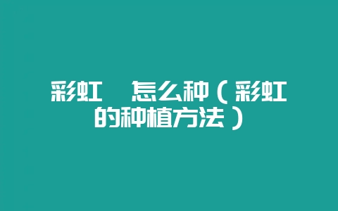 彩虹蕨怎么种（彩虹蕨的种植方法）-会东网