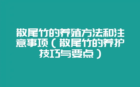 散尾竹的养殖方法和注意事项(散尾竹的养护技巧与要点)-会东网