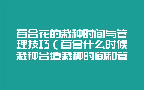 百合花的栽种时间与管理技巧（百合什么时候栽种合适栽种时间和管-会东网