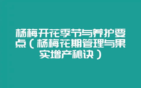 杨梅开花季节与养护要点(杨梅花期管理与果实增产秘诀)-会东网