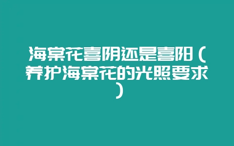 海棠花喜阴还是喜阳（养护海棠花的光照要求）-会东网
