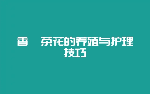 香妃茶花的养殖与护理技巧-会东网
