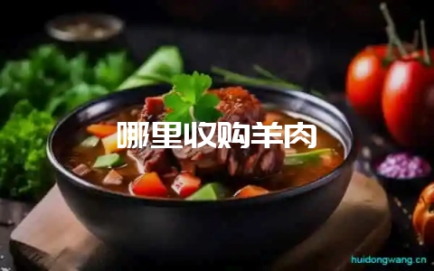 哪里收购羊肉-会东网