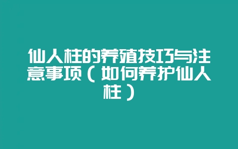 仙人柱的养殖技巧与注意事项（如何养护仙人柱）-会东网