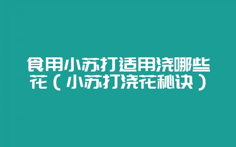 食用小苏打适用浇哪些花(小苏打浇花秘诀)插图 食用小苏打适用浇哪些花(小苏打浇花秘诀)插图