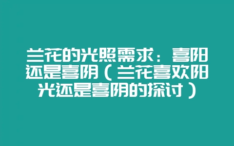 兰花的光照需求:喜阳还是喜阴(兰花喜欢阳光还是喜阴的探讨)-会东网