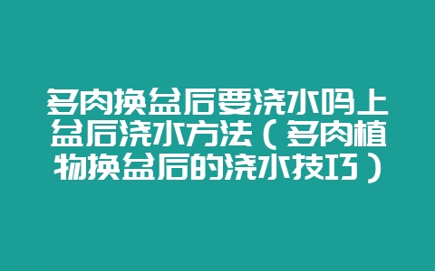 多肉换盆后要浇水吗上盆后浇水方法（多肉植物换盆后的浇水技巧）-会东网