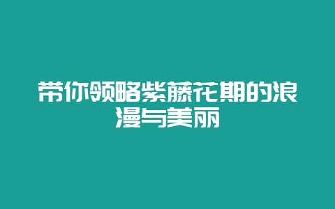 带你领略紫藤花期的浪漫与美丽-会东网