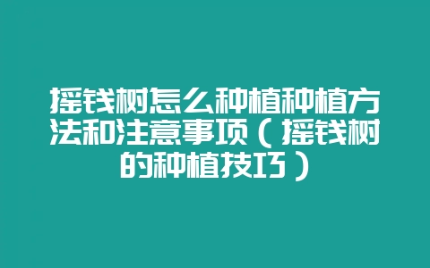 摇钱树怎么种植种植方法和注意事项(摇钱树的种植技巧)-会东网