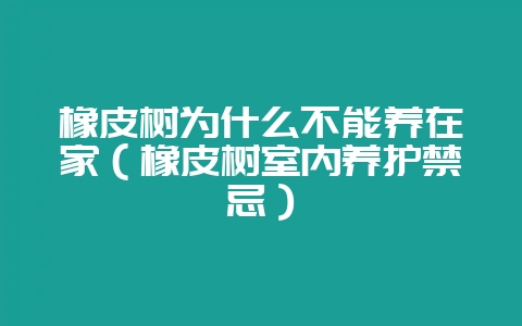 橡皮树为什么不能养在家（橡皮树室内养护禁忌）-会东网