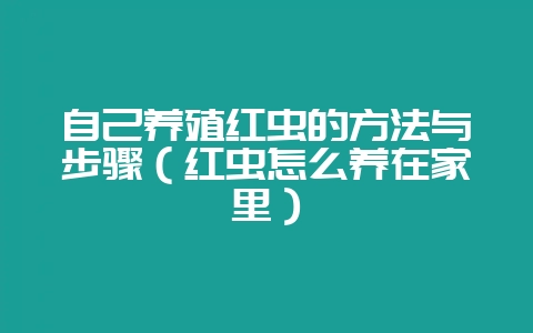 自己养殖红虫的方法与步骤(红虫怎么养在家里)-会东网