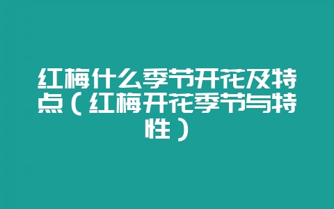 红梅什么季节开花及特点(红梅开花季节与特性)-会东网