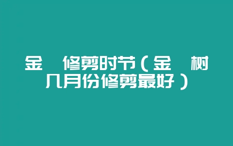 金桔修剪时节(金桔树几月份修剪最好)-会东网