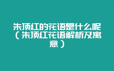 朱顶红的花语是什么呢(朱顶红花语解析及寓意)-会东网