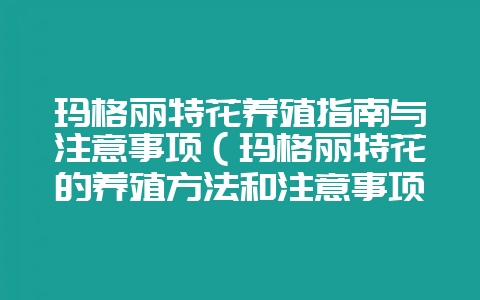 玛格丽特花养殖指南与注意事项(玛格丽特花的养殖方法和注意事项)-会东网
