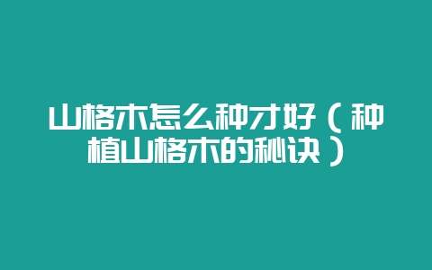 山格木怎么种才好（种植山格木的秘诀）-会东网