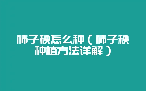 柿子秧怎么种（柿子秧种植方法详解）-会东网