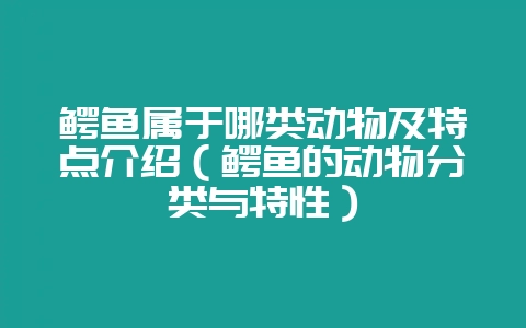 鳄鱼属于哪类动物及特点介绍（鳄鱼的动物分类与特性）-会东网