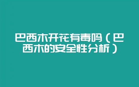 巴西木开花有毒吗（巴西木的安全性分析）-会东网