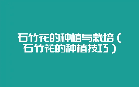 石竹花的种植与栽培（石竹花的种植技巧）-会东网