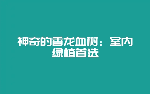 神奇的香龙血树：室内绿植首选-会东网