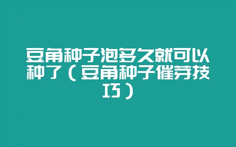 豆角种子泡多久就可以种了（豆角种子催芽技巧）-会东网